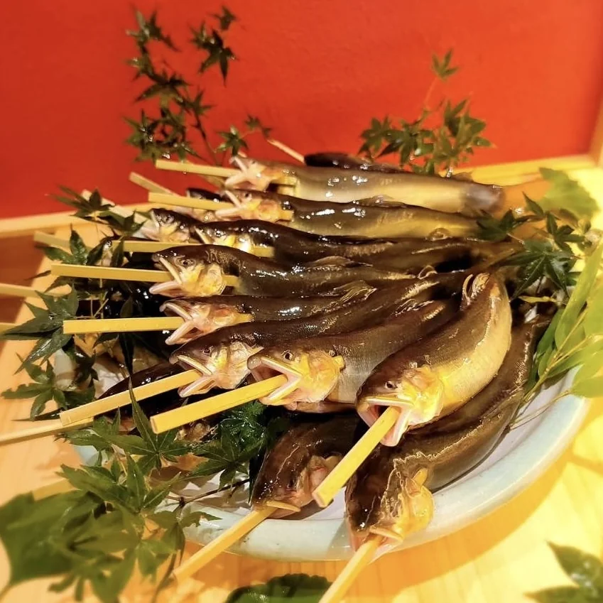 鮎の塩焼きの仕込み