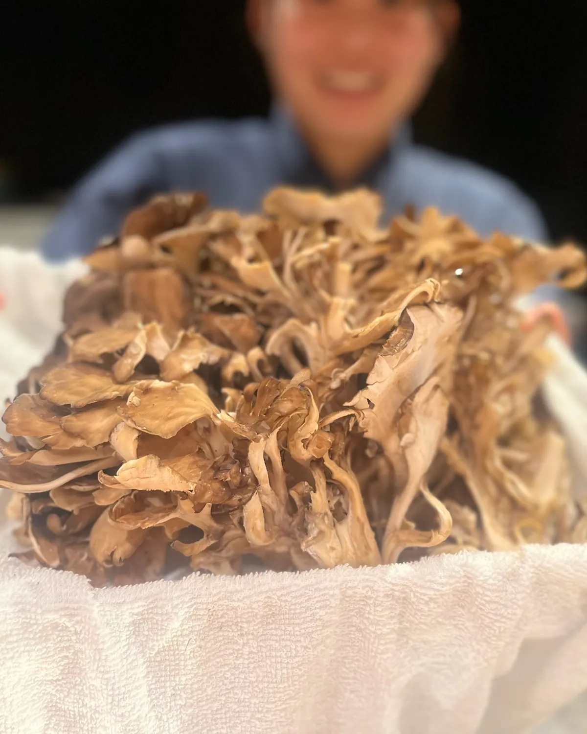 舞茸